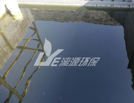 化工污水處理的污泥脫水技術(shù)有哪些？