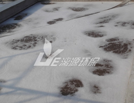 工業(yè)污水處理現(xiàn)代的處理技術(shù)有哪些？