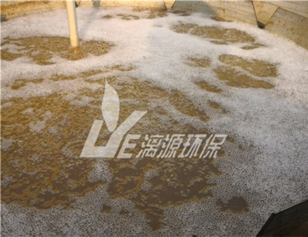 培根生產(chǎn)廢水處理技術